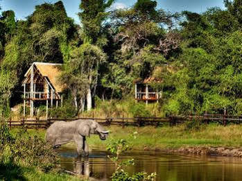 Camp Savuti Hotell Exteriör bild